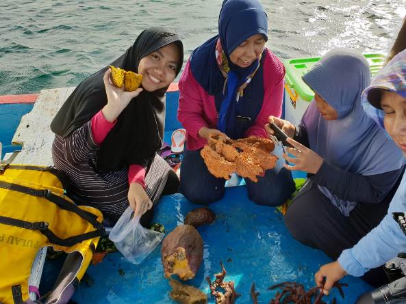 Penelitian Bioprospeksi Dosen dan Mahasiswa Fakultas Biologi di Pulau Seribu (10)