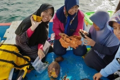 Penelitian Bioprospeksi Dosen dan Mahasiswa Fakultas Biologi di Pulau Seribu (10)