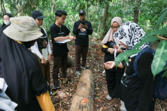 Saat kegiatan eksplorasi jamur berlangsung di Hutan Kota Srengseng, Jakarta Barat dengan didampingi dosen dan panitia pada Rabu (14/12/2022)