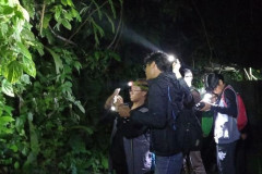 Para peserta saat eksplorasi di Hutan pada malam hari