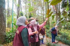 Para peneliti melakukan pengamatan terhadap tumbuhan yang ada di Taman Hutan Raya Ir. H. Juanda, Dago Pakar, Ciburial, Cimenyan, Bandung, Jawa Barat pada Jum'at, 27 Januari 2023