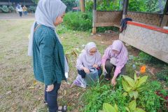 Pengambilan sampel tumbuhan di Kawasan Konservasi Desa Cilembu, Sumedang Jawa Barat dalam rangka eksplorasi tumbuhan obat, Jum'at, 27 Januari 2023