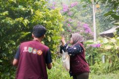 Proses pengamatan dan scanning untuk mengenal jenis tumbuhan yang diamati dalam rangka eksplorasi tumbuhan obat di Kawasan Konservasi Desa Cilembu, Sumedang Jawa Barat pada Sabtu, 28 Januari 2023
