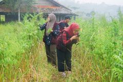 Proses pengamatan dan scanning untuk mengenal jenis tumbuhan yang diamati dalam rangka eksplorasi tumbuhan obat di Kawasan Konservasi Desa Cilembu, Sumedang Jawa Barat pada Sabtu, 28 Januari 2023