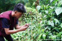 Pengambilan sampel tumbuhan oleh peneliti CBCD Indonesia di Kebun Raya Bogor, Senin, 27 Februari 2023