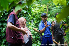 Pengambilan sampel tumbuhan oleh peneliti CBCD Indonesia dibantu oleh tim dari pengelola Kebun Raya Bogor, Senin, 27 Februari 2023