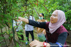 Pengambilan sampel tumbuhan oleh peneliti CBCD Indonesia di Kebun Raya Bogor, Senin, 27 Februari 2023