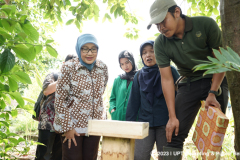 Saat pengecekan koloni dan lebah oleh Ketua Tim PKM Unas Prof. Dr. Retno Widowati, M.Si.