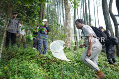 Salah satu mahasiswa dari kelompok studi insekta saat melakukan eksplorasi, di Wilayah Gambung, Cagar Alam Gunung Tilu, Jawa Barat, Minggu, 05 Mei 2024