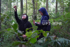 Mahasiswi dari kelompok studi primata melakukan pemantauan habitat primata pada kegiatan KKL, di kawasan Gambung, Cagar Alam Gunung Tilu, Jawa Barat, Jumat, 03 Mei 2024