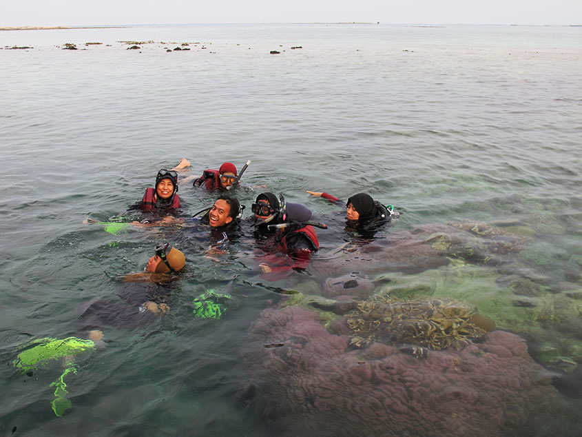 Penelitian Biota laut Spon
