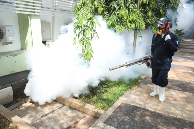 Universitas Nasional melakukan pencegahan penyakit demam berdarah dengue dengan pengasapan fogging di area kampus pada Minggu (26/7).
