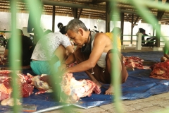 Proses pemotongan hewan qurban oleh karyawan Universitas Nasional