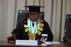 Penguji Sidang Doktoral (Prof. Dr. Drs. Eko Sugiyanto, M.Si)