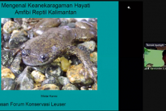 Narasumber 3 Mistar Kamsi pada acara webinar "Mengenal Keanekaragaman Herpetofauna dan Potensi Herpetologi di Indonesia" dalam rangka Dies Natalis UNAS ke-72 dan ulang tahun KSH SAHUL pada hari Rabu, 29 September 2021