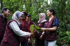 Mentor dan Trainee saat eksplorasi tumbuhan yang berkhasiat untuk kesehatan di Taman Nasional Gunung Halimun Salak, Minggu, 3 Juli 2022