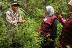 Mentor dan Trainee saat eksplorasi tumbuhan yang berkhasiat untuk kesehatan di Taman Nasional Gunung Halimun Salak, Minggu, 3 Juli 2022