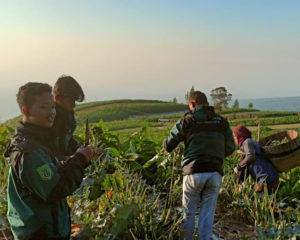Mahasiswa Fakultas Pertanian saat melakukan kegiatan KKL bersama petani di Desa Jeruk, Kecamatan Selo, Kabupaten Boyolali, Provinsi Jawa Tengah